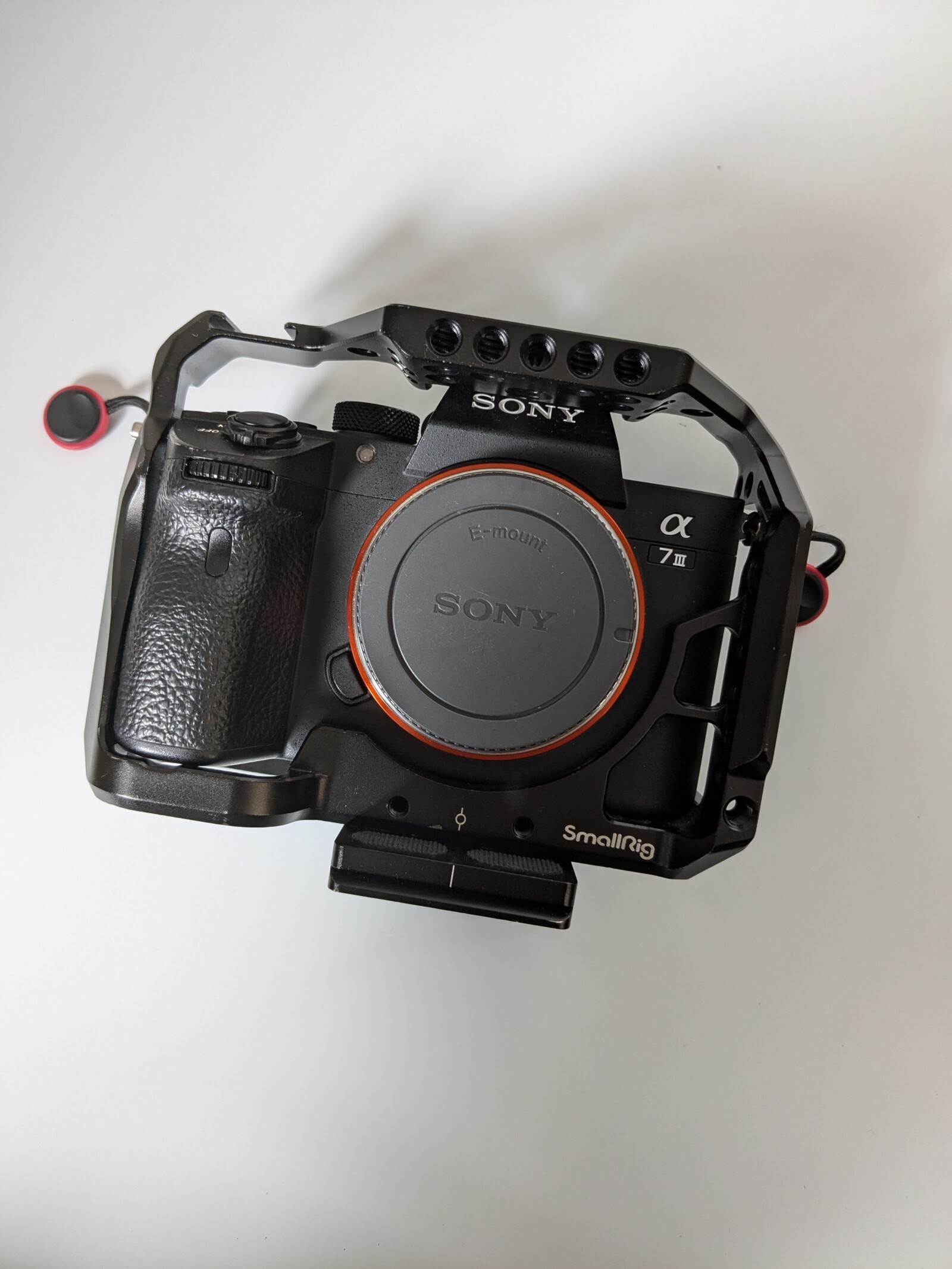Sony Alpha 7 III (A73) - Photo 1 sur 3