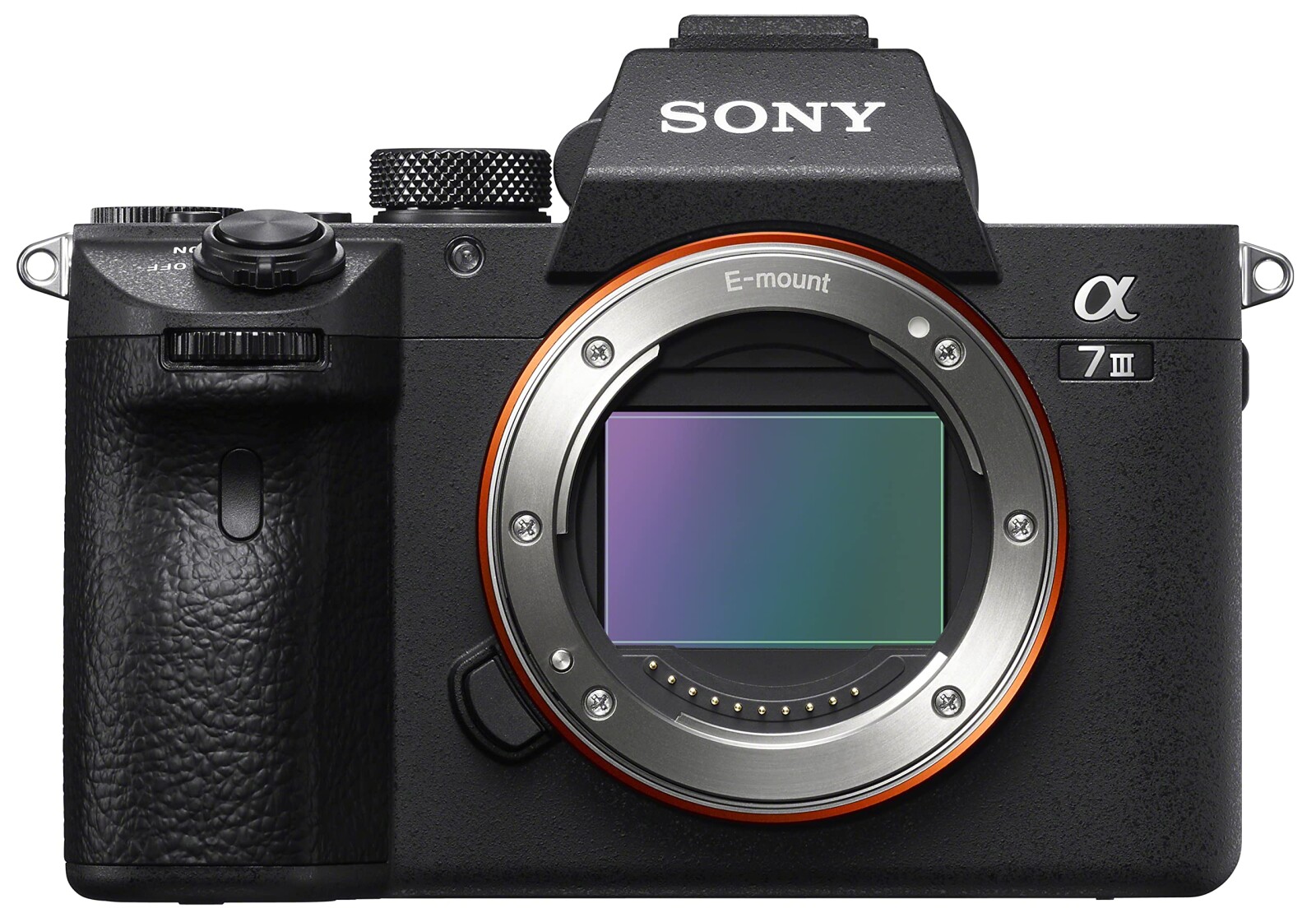 Sony Alpha 7 III (A73) - Photo 3 sur 3