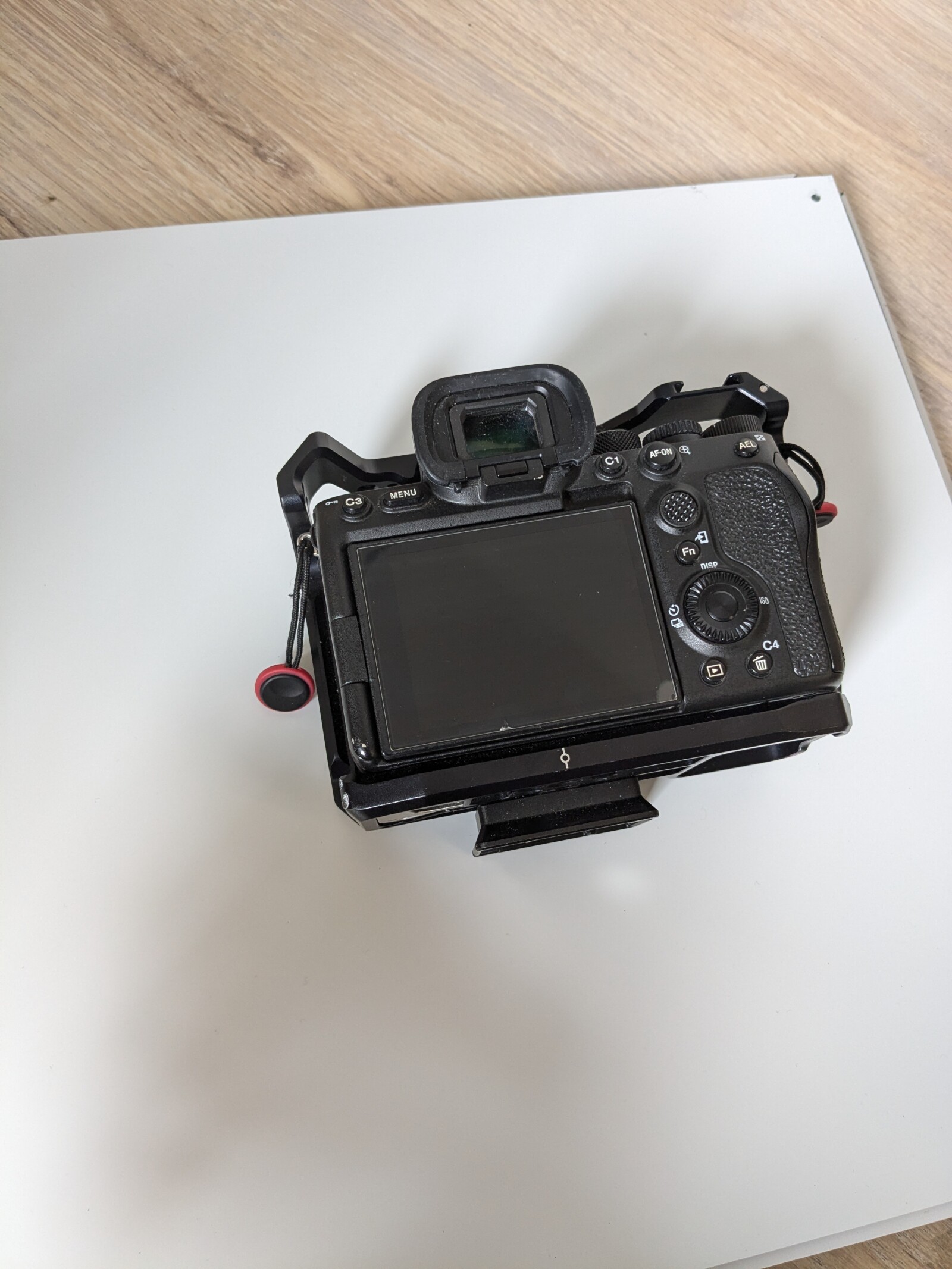 Sony Alpha 7S III (A7S3) - Photo 2 sur 3