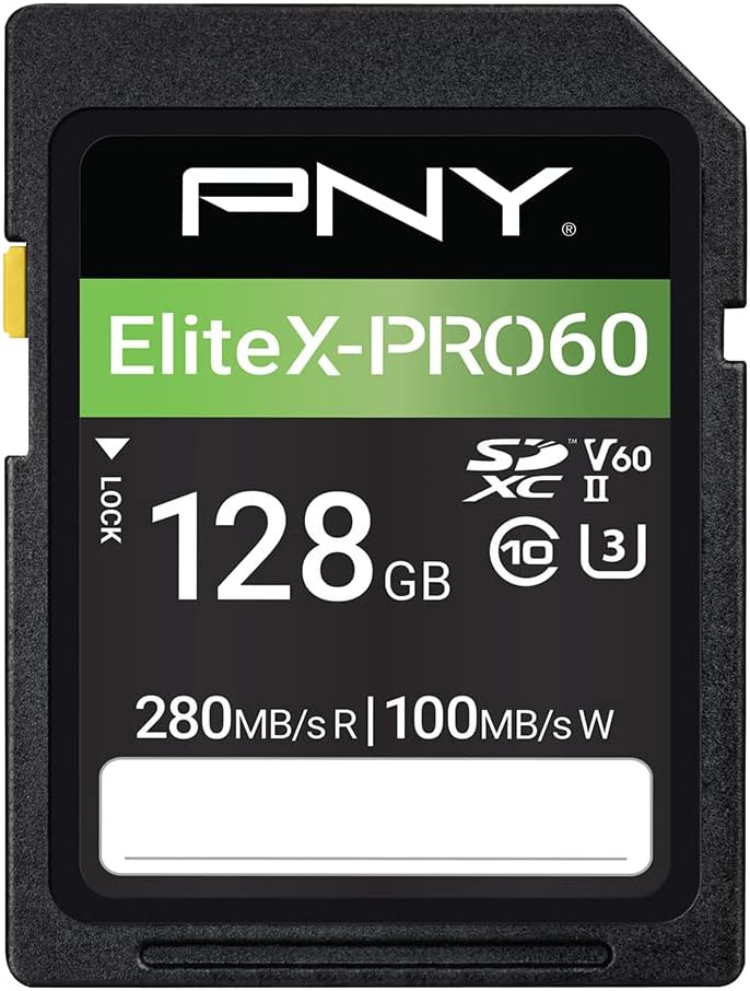 PNY SDXC 128GB V60