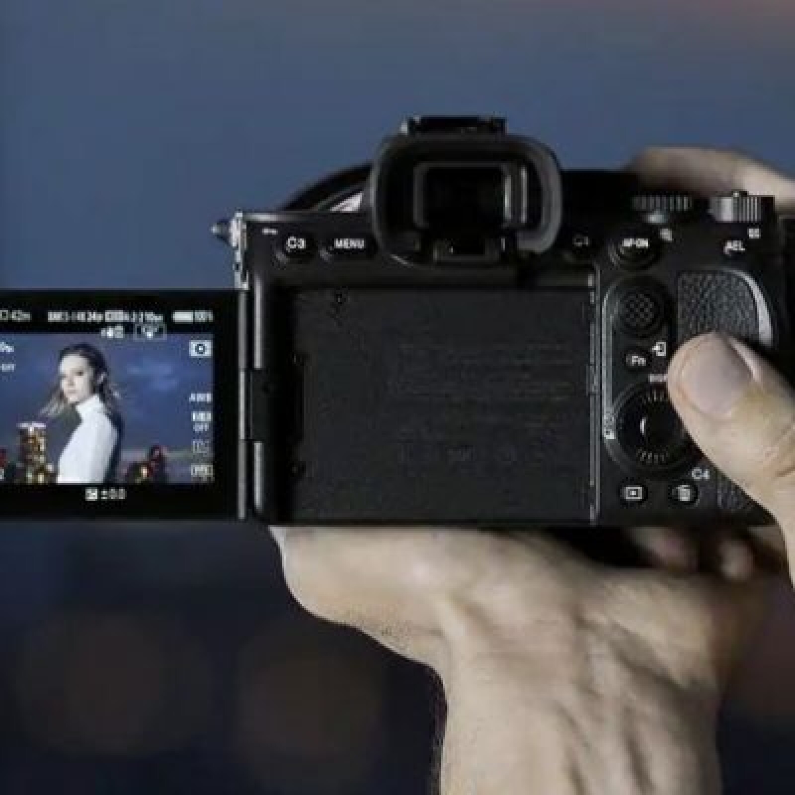 Sony Alpha 7S III - Photo 2 sur 3