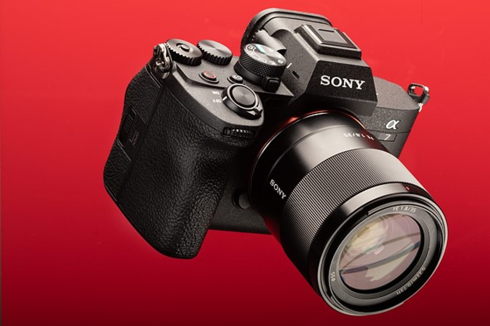 Sony Alpha 7 IV (A74) - Photo 1 sur 3