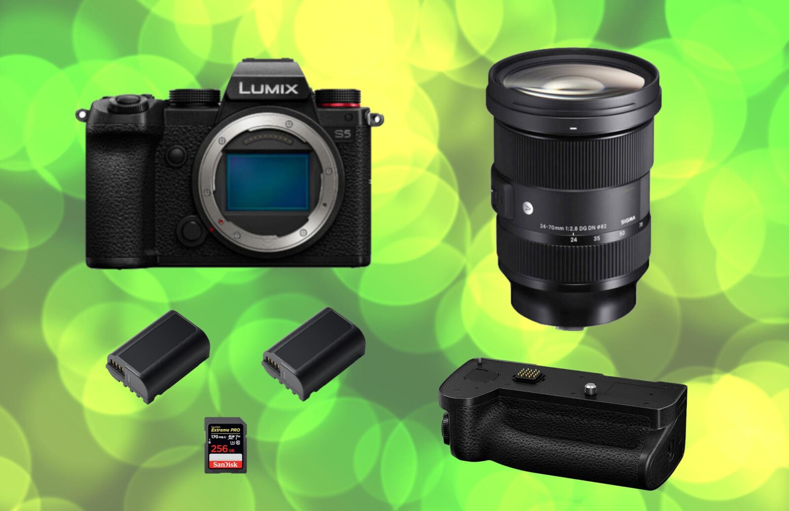 Panasonic Lumix S5 + Sigma 24-70 ART - Photo 1 sur 1