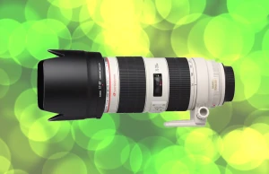 Location Canon 70-200mm f/2.8 L IS II USM
