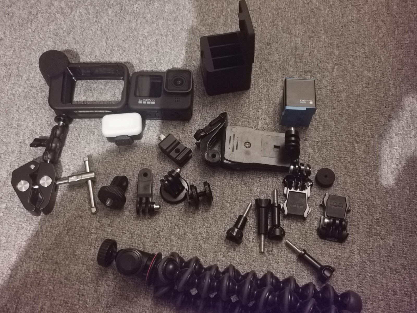 Gopro hero 9 black+Micro+ lumière= accesoires.  - Photo 1 sur 3
