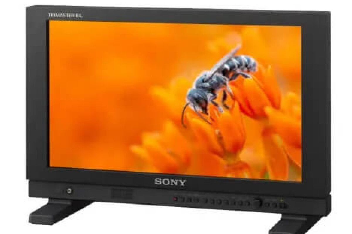 Location Sony PVM-A170 V2.0 - Lightyshare