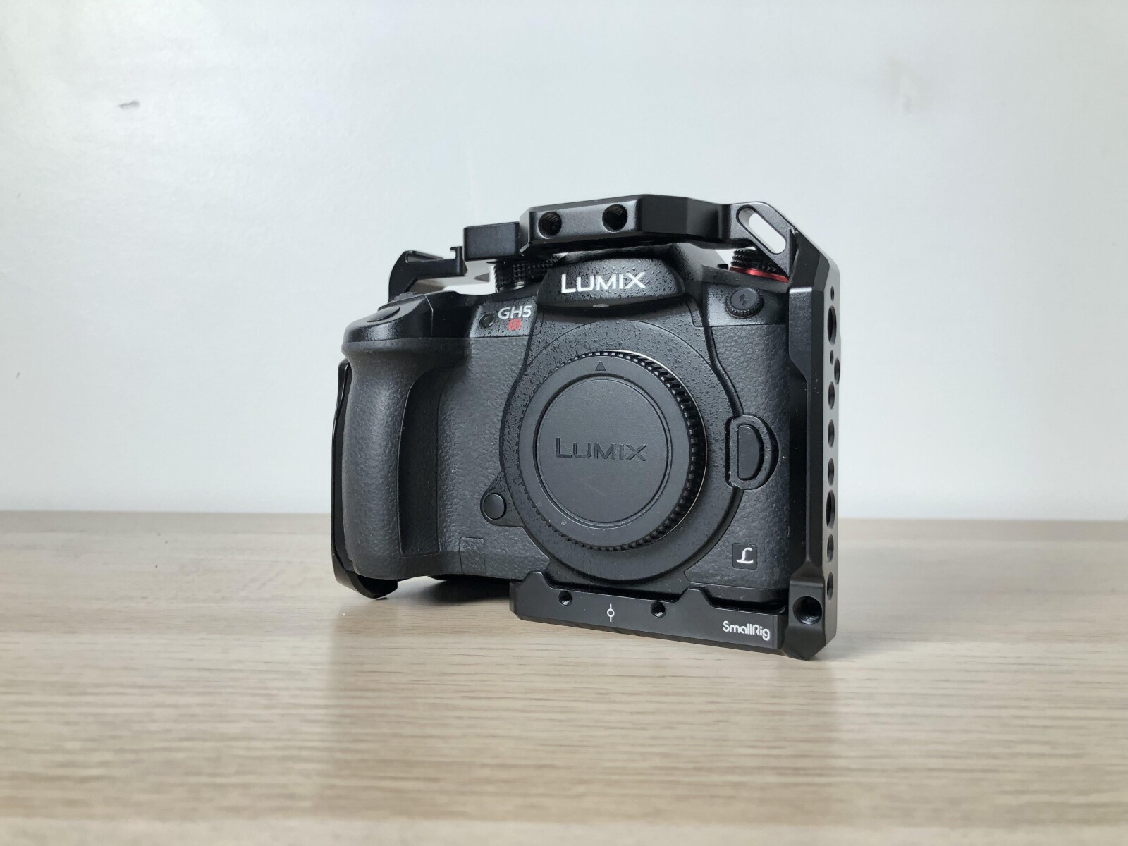 Lumix GH5S + cage Smallrig - Photo 1 sur 3