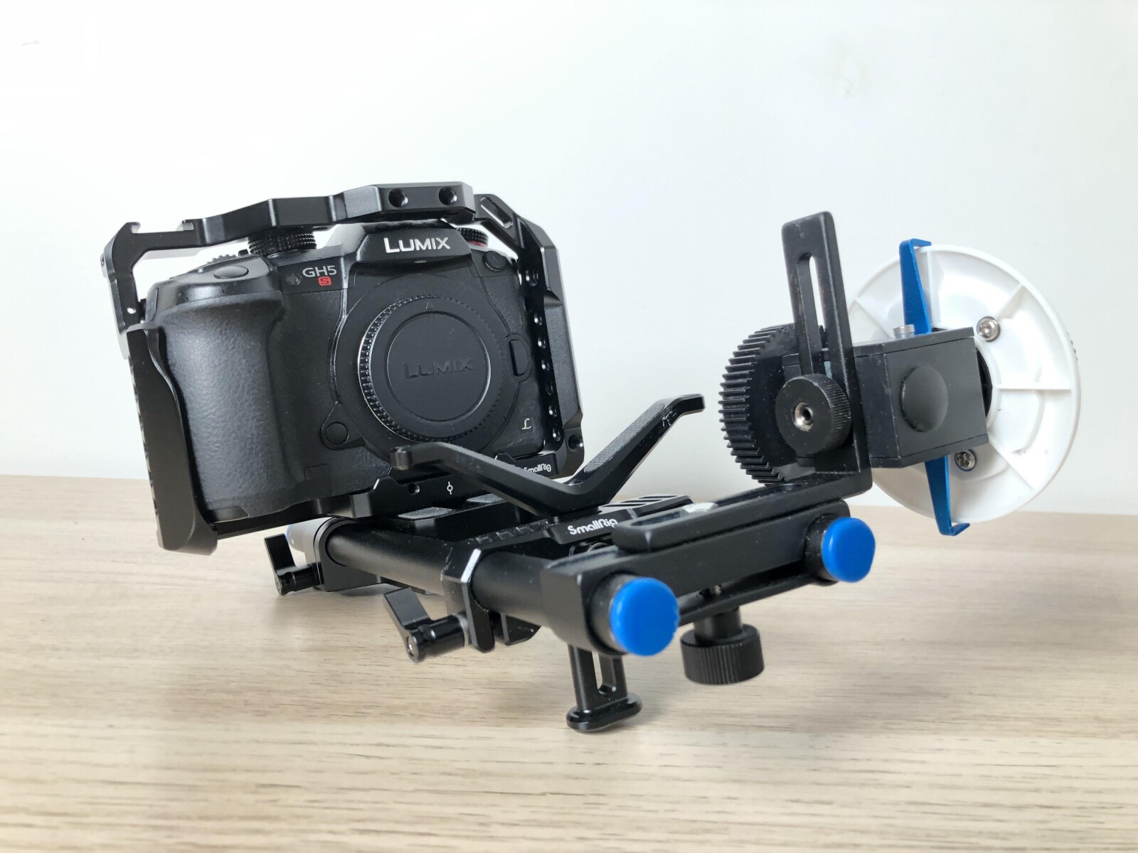 Rig Lumix GH5S - Photo 1 sur 1