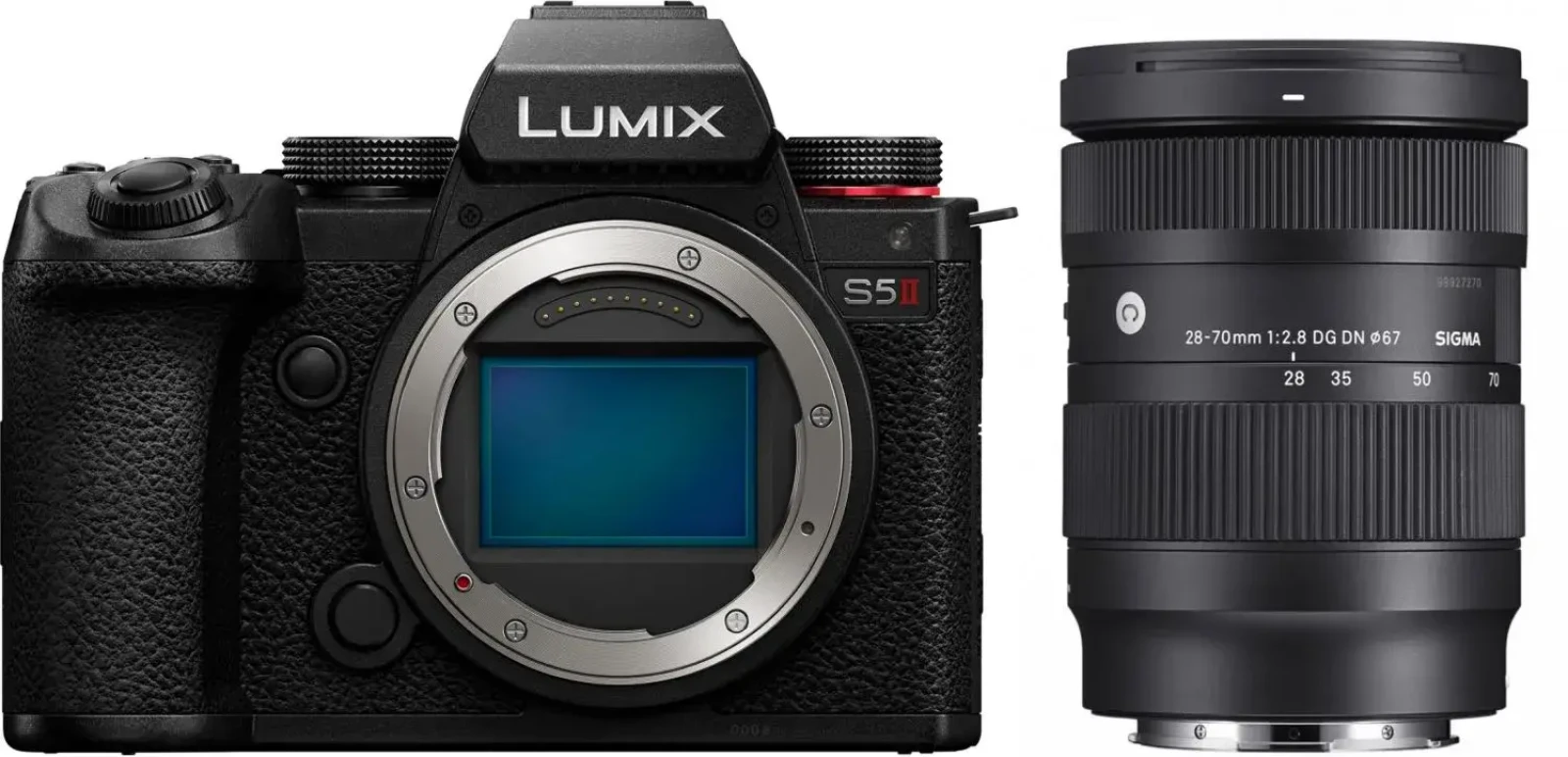 Panasonic S5II - Photo 1 sur 1