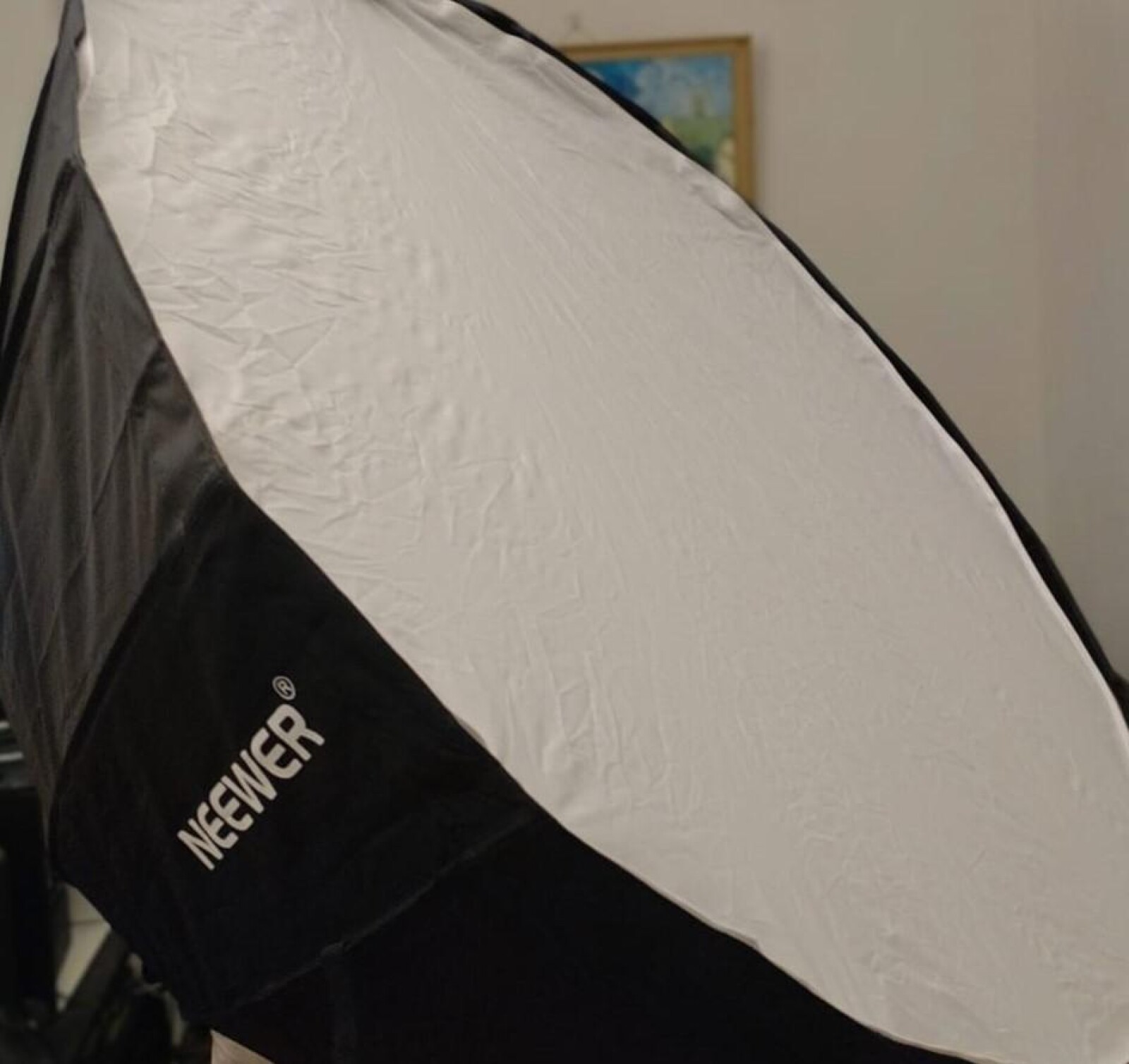 Soft Box Neewer 120cm - Photo 1 sur 2