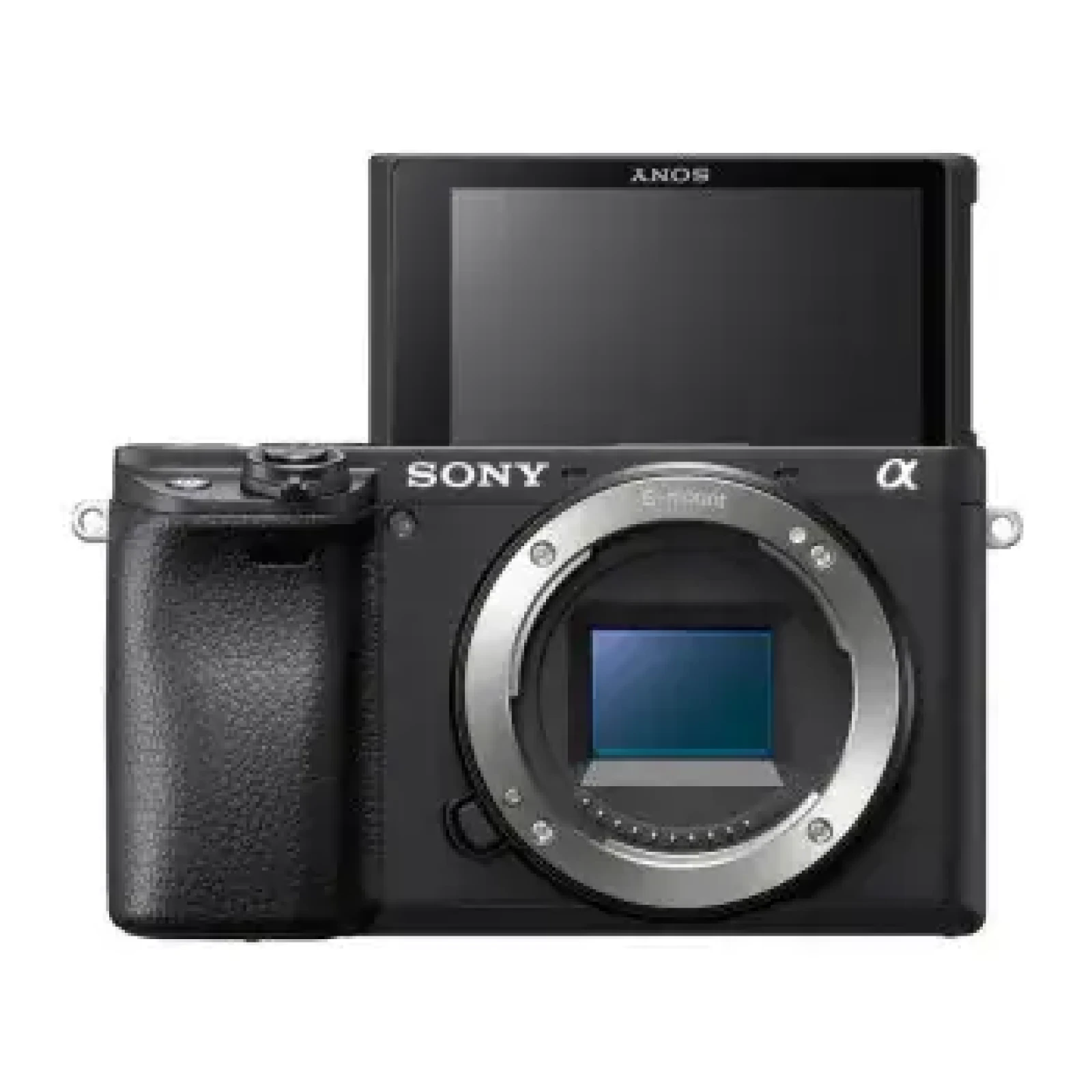 Sony A6400 - Photo 1 sur 1