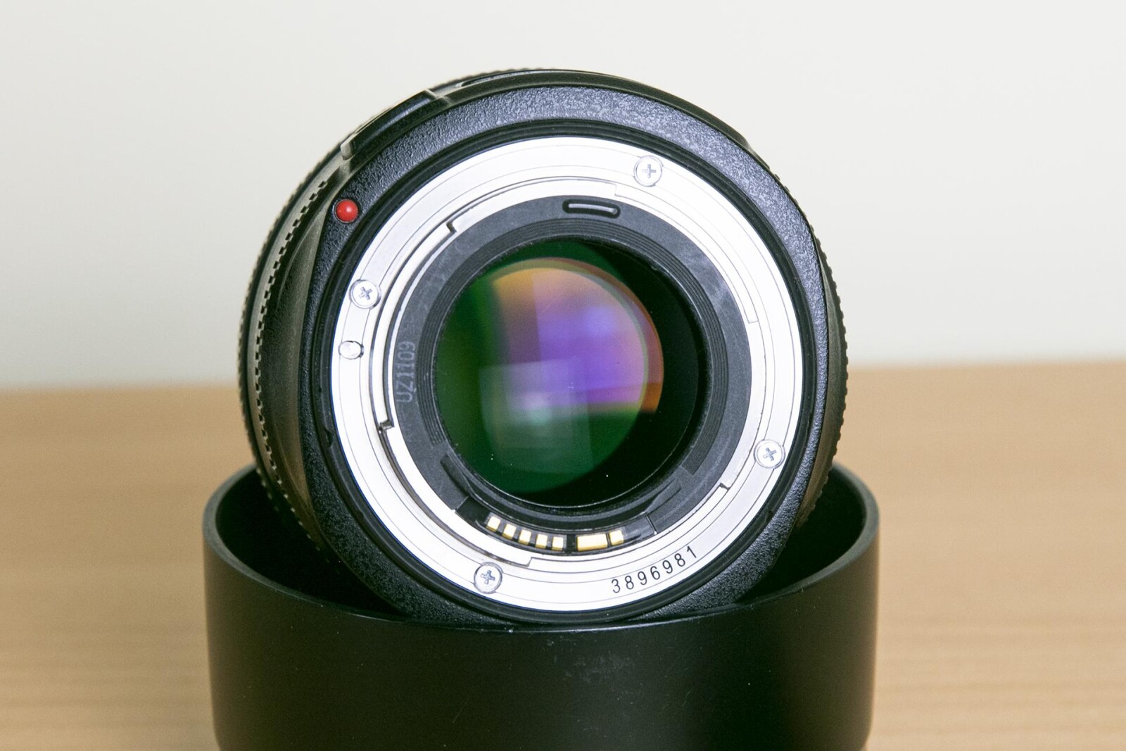 Canon EF 50mm F/1.2 L USM - Photo 6 sur 6