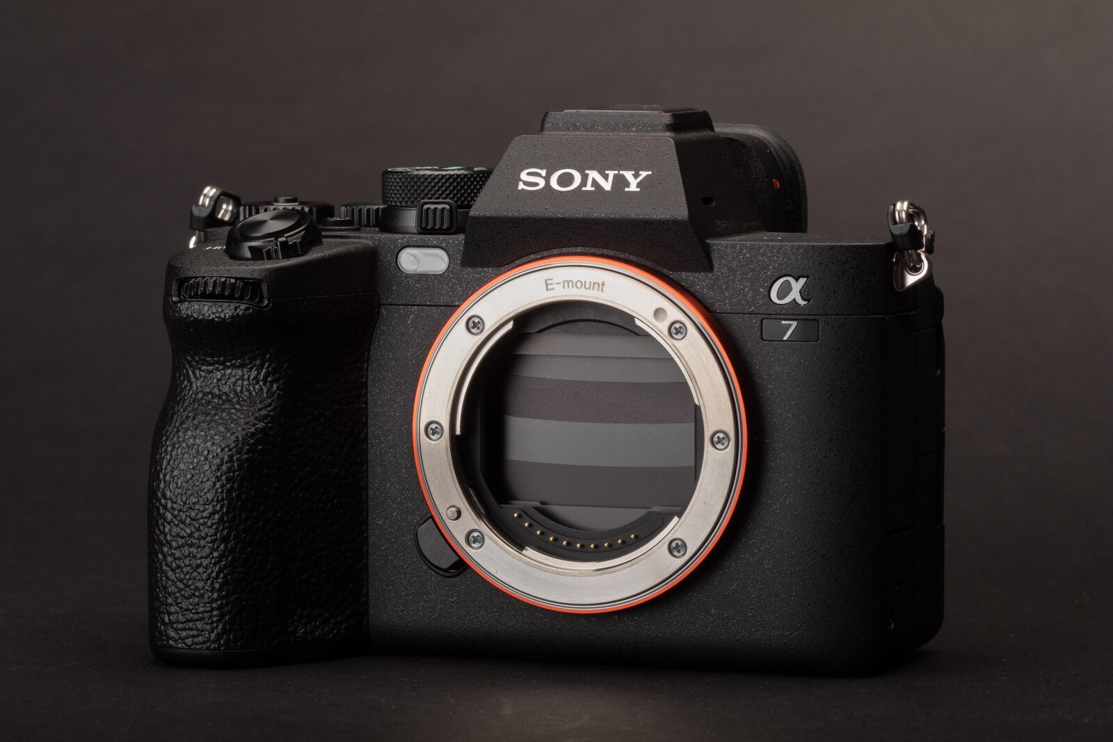 Sony Alpha 7 IV (A74) - Photo 1 sur 1