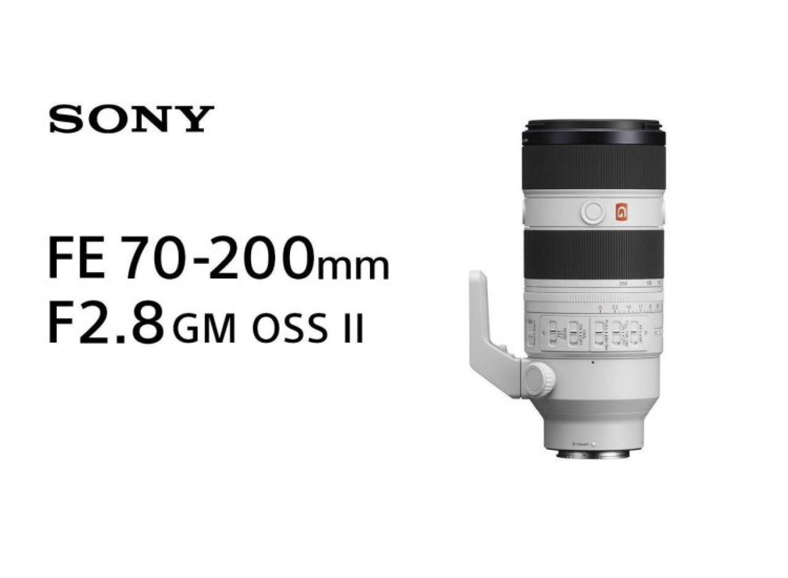 Sony Sony FE 70-200mm F2.8 GM OSS II - Photo 1 sur 1