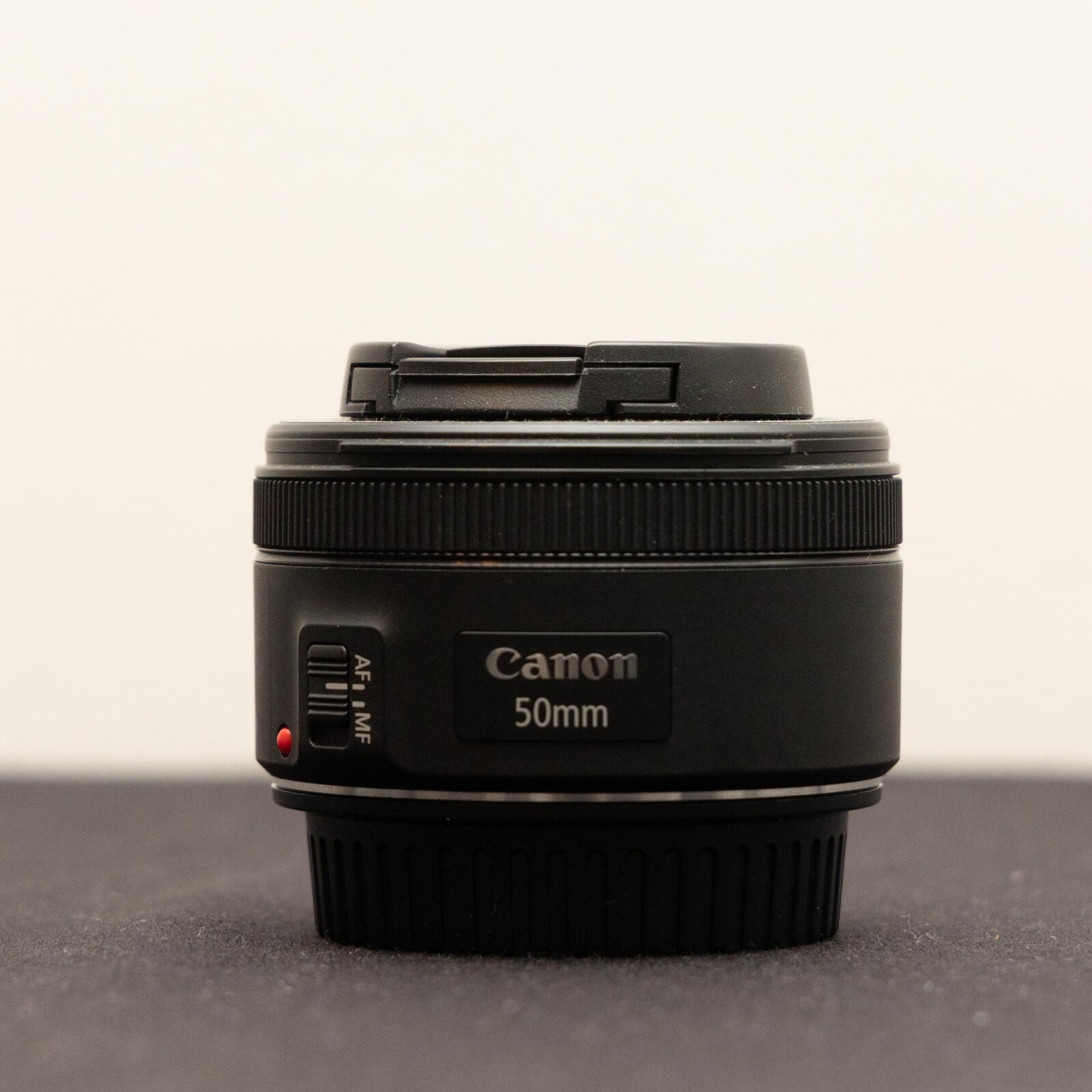 Canon EF 50 mm f/1.8 STM - Photo 1 sur 2