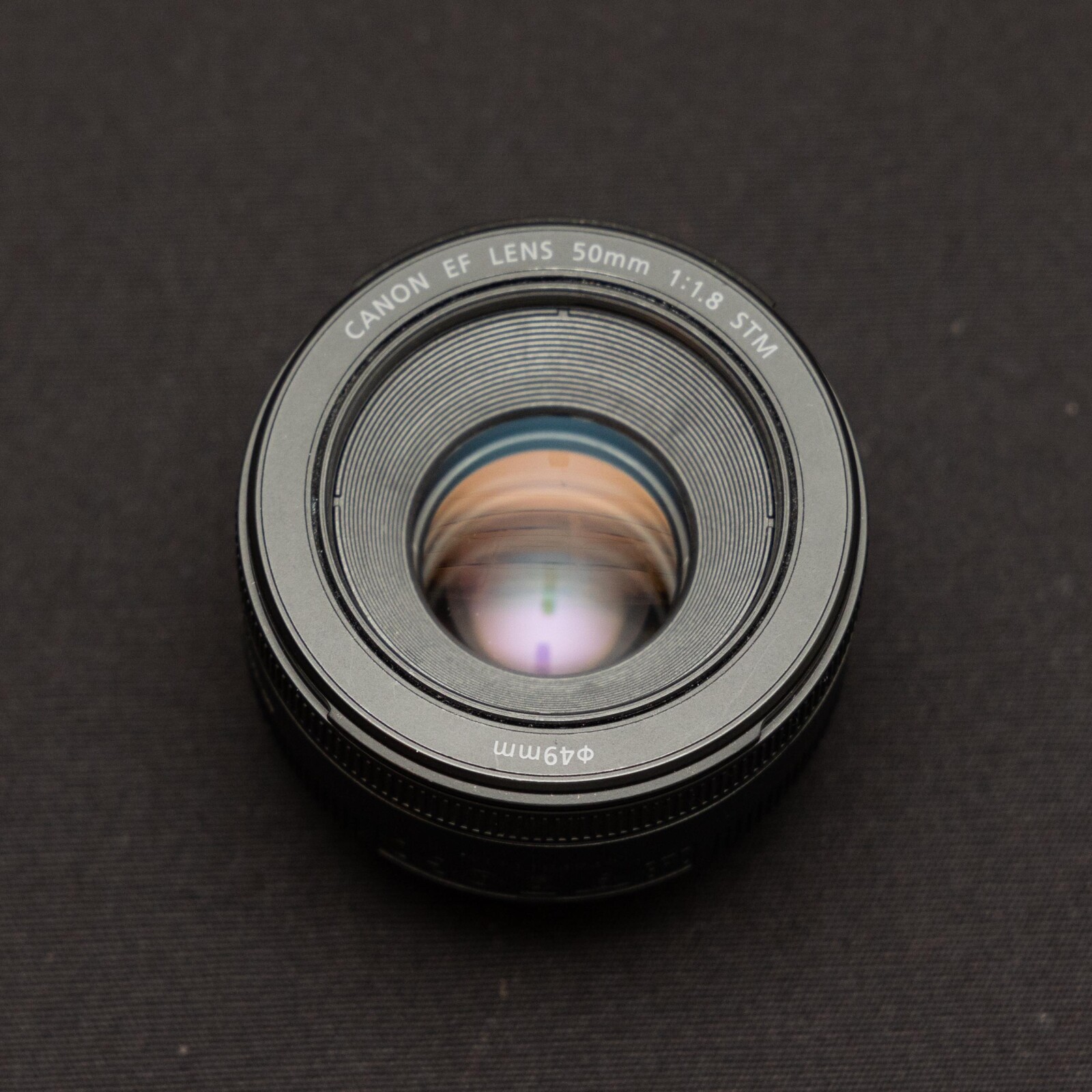 Canon EF 50 mm f/1.8 STM - Photo 2 sur 2
