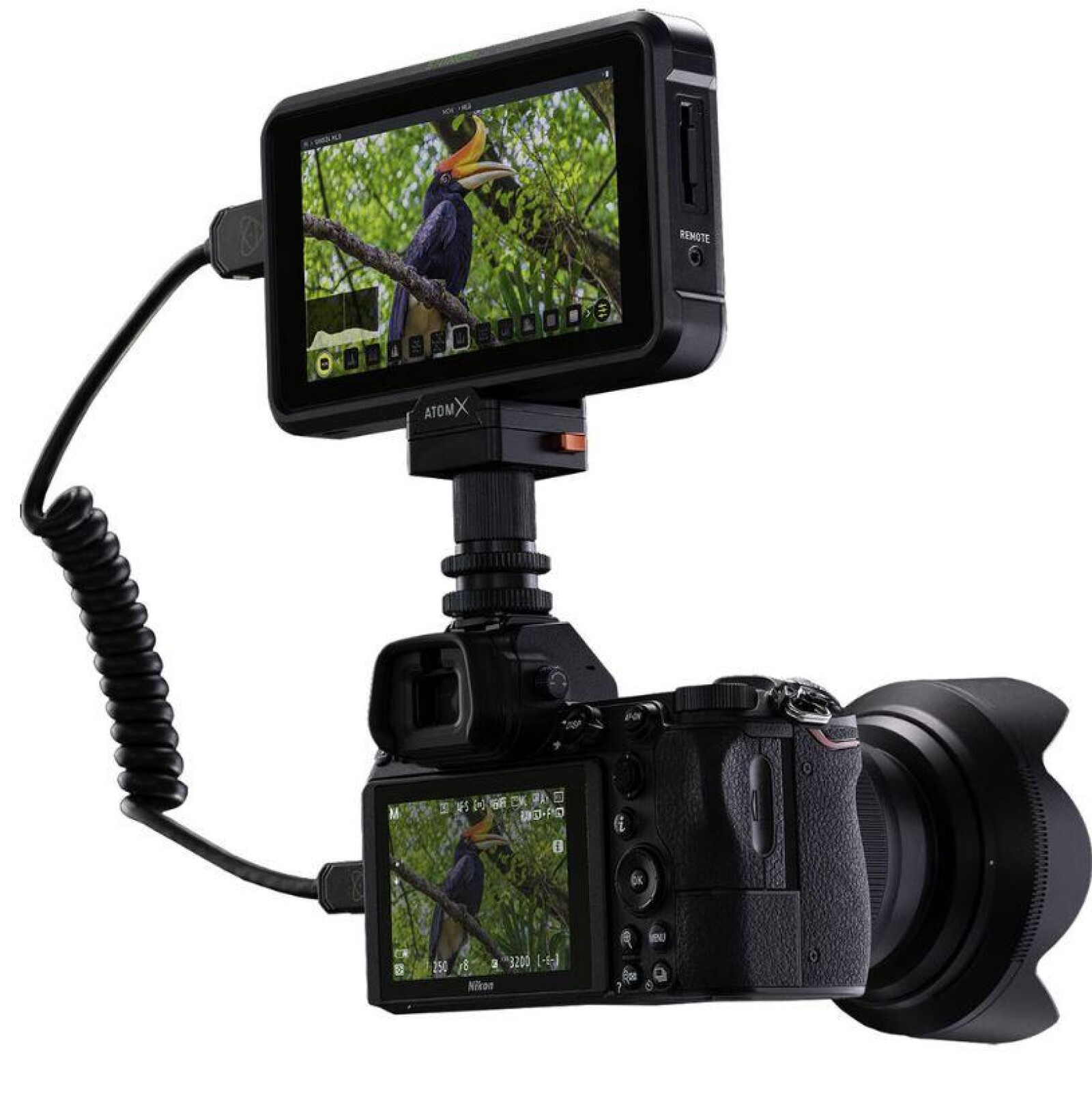 ATOMOS SHINOBI MONITEUR 5" 4K HDMI HDR - Photo 3 sur 3