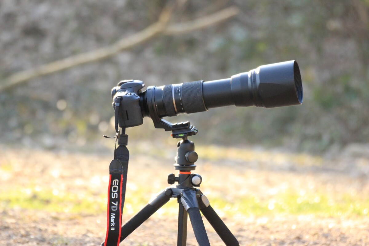Location Tamron SP 150-600mm F/5-6.3 Di VC USD pour monture NIKON - Lightyshare