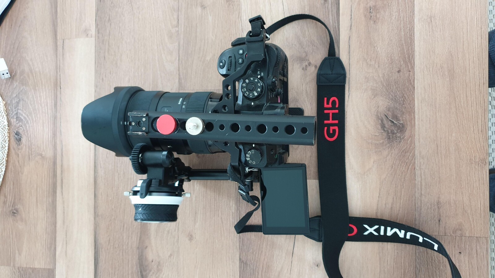 Panasonic LUMIX GH5S - Photo 1 sur 4