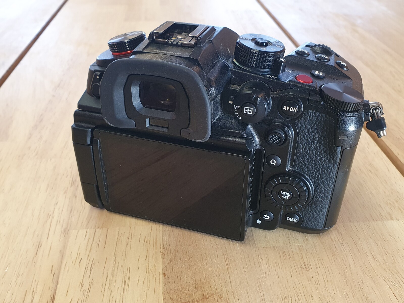 Panasonic LUMIX GH5S - Photo 4 sur 4