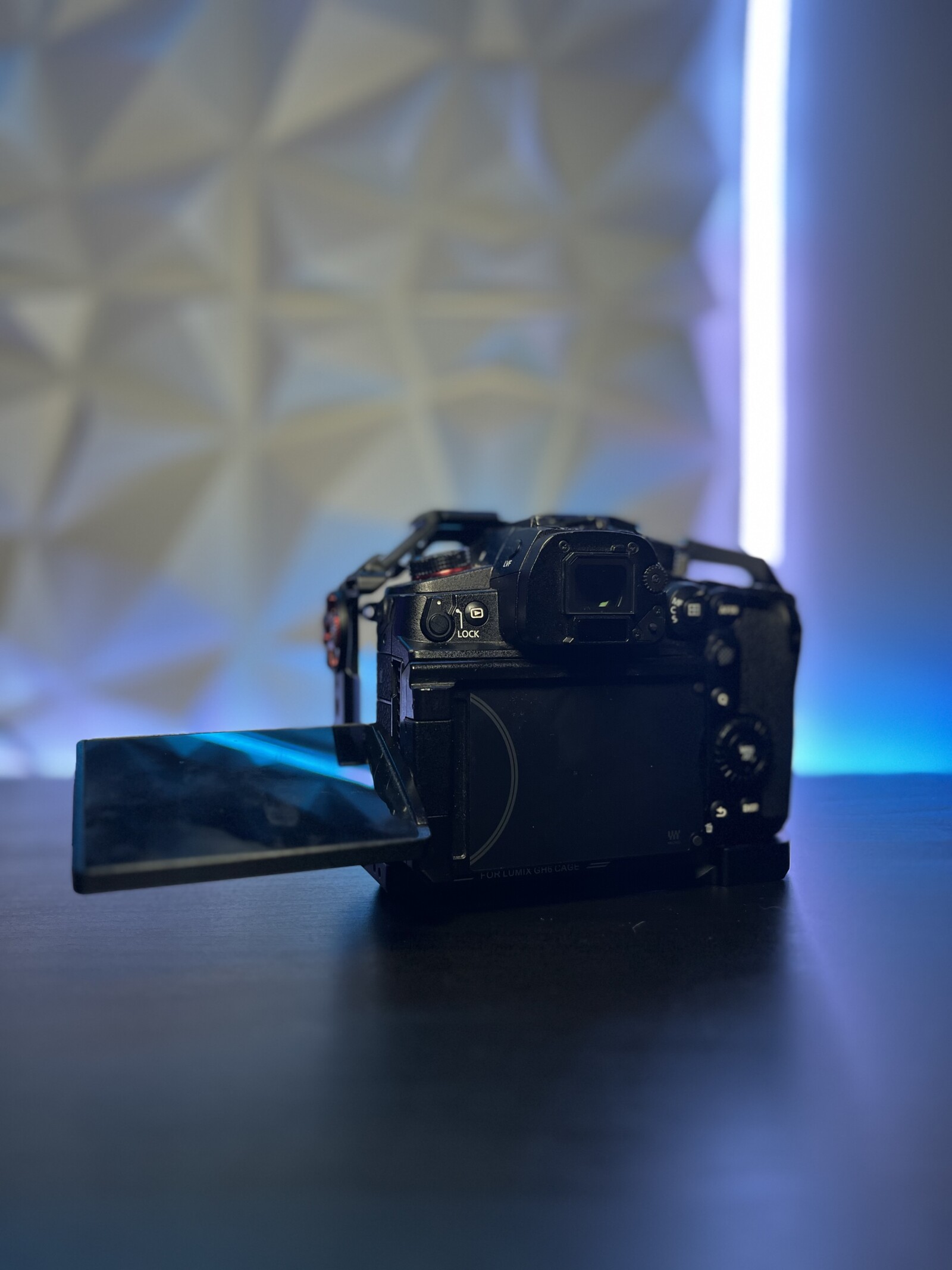 Panasonic LUMIX GH5S - Photo 2 sur 3