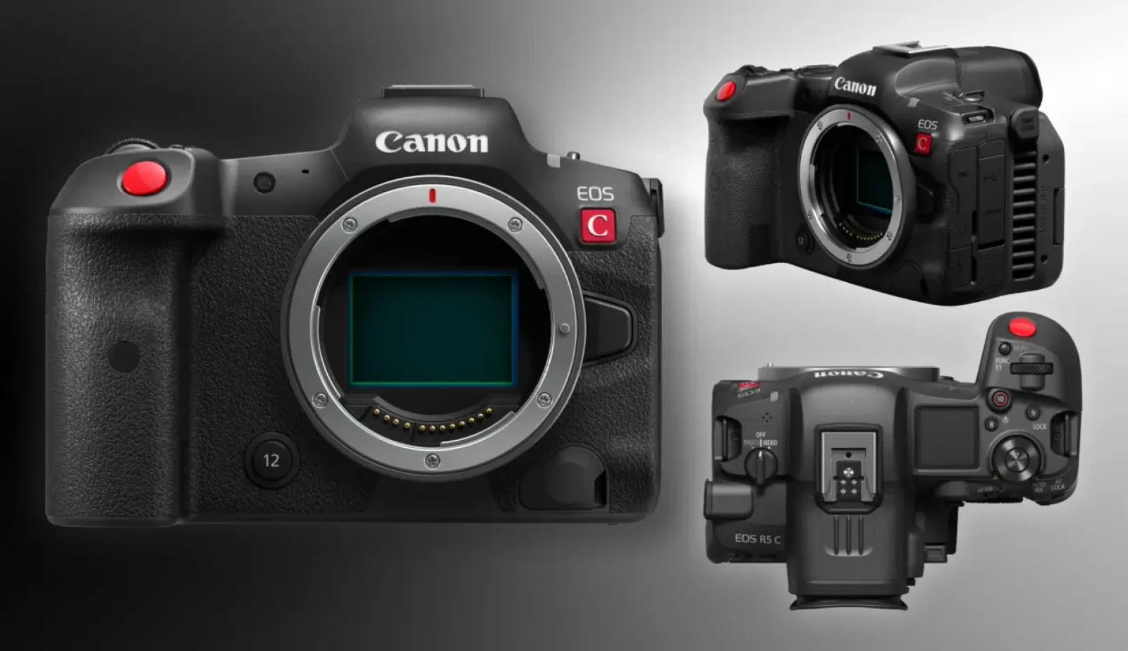 Canon EOS R5 C - Photo 2 sur 3