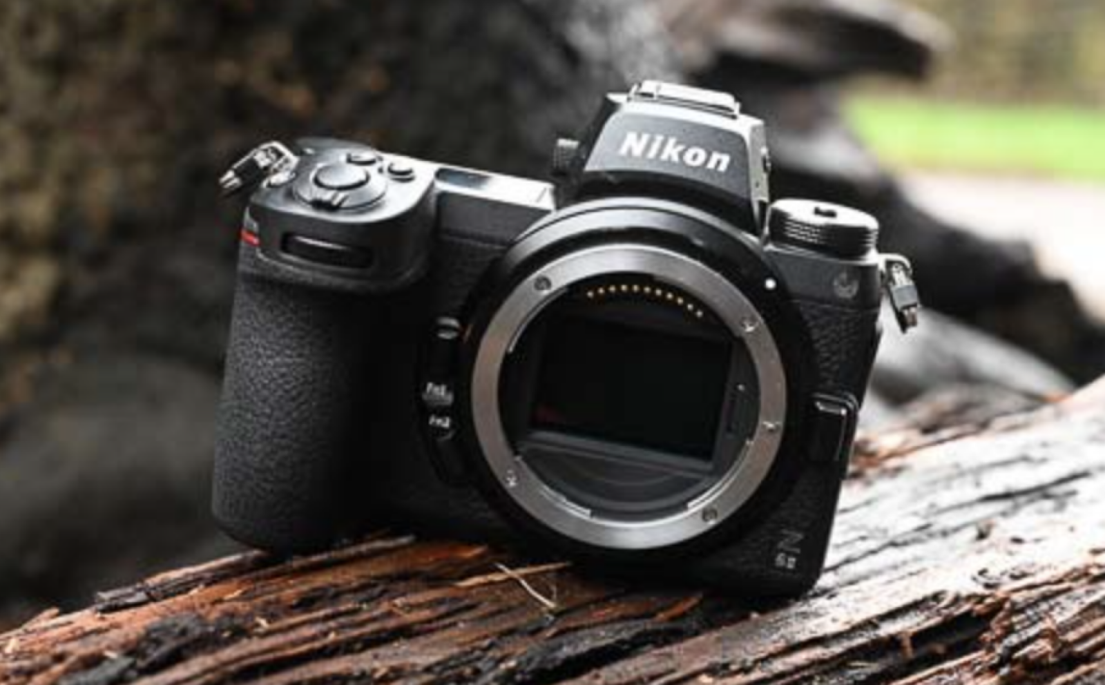 Nikon Z6 - Boitier et bague d'adaptation F to Z  - Photo 3 sur 4