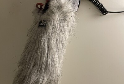 Location Kit de tournage Lumix S5 - Caméra, Objectifs et micro (Sans trépied !)