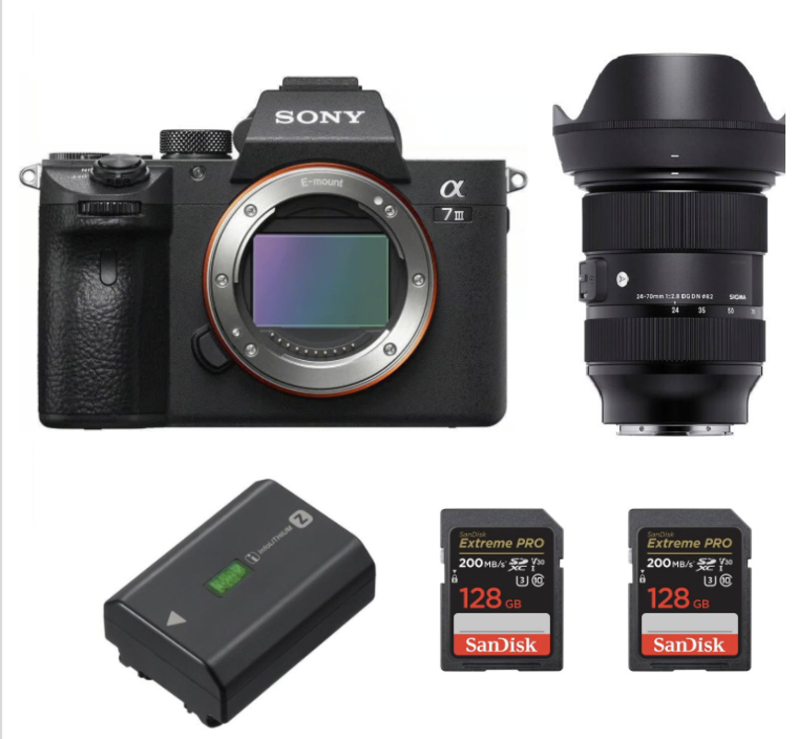 Sony Alpha 7S III (A7S3) - Photo 1 sur 6