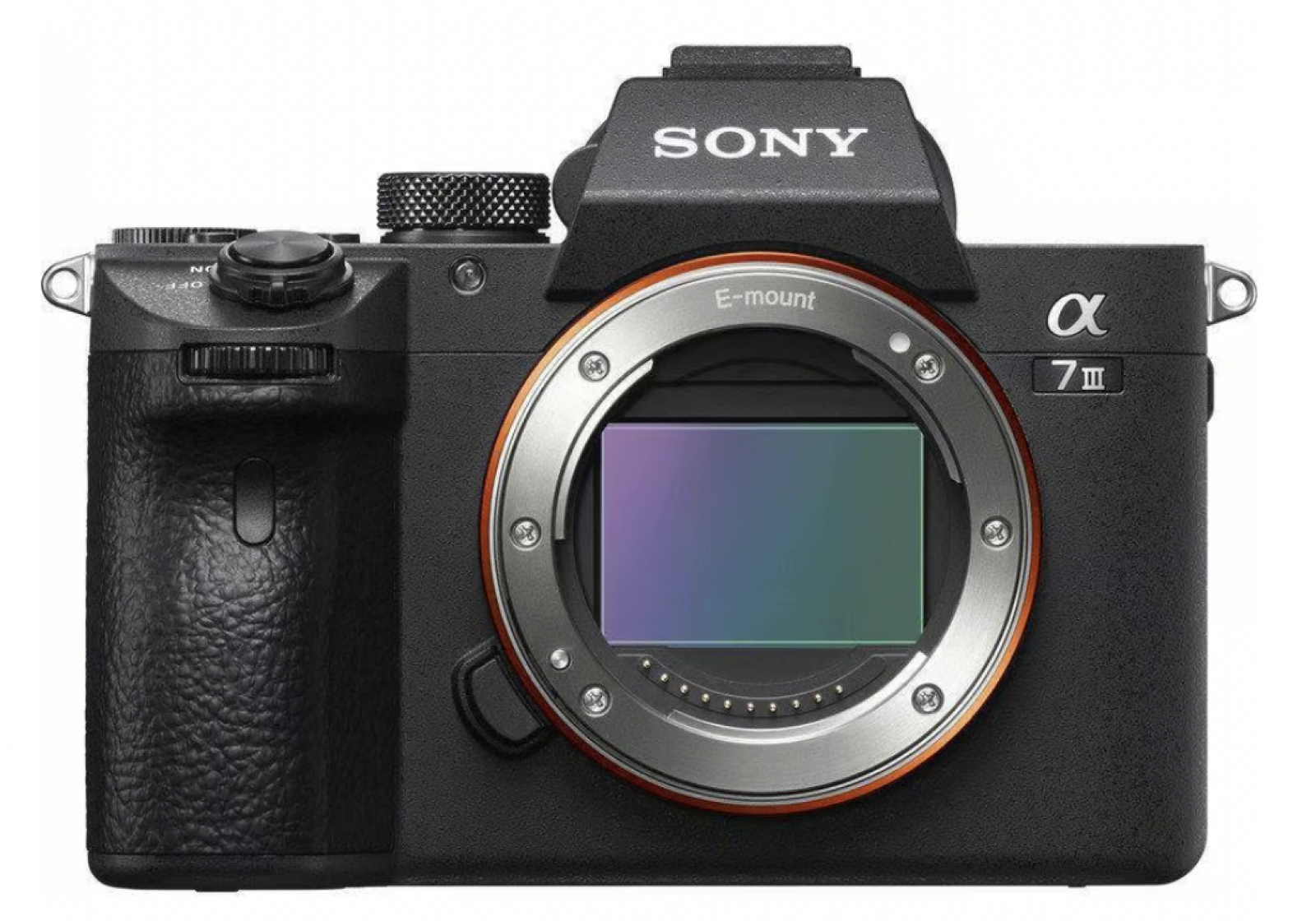 Sony Alpha 7S III (A7S3) - Photo 6 sur 6