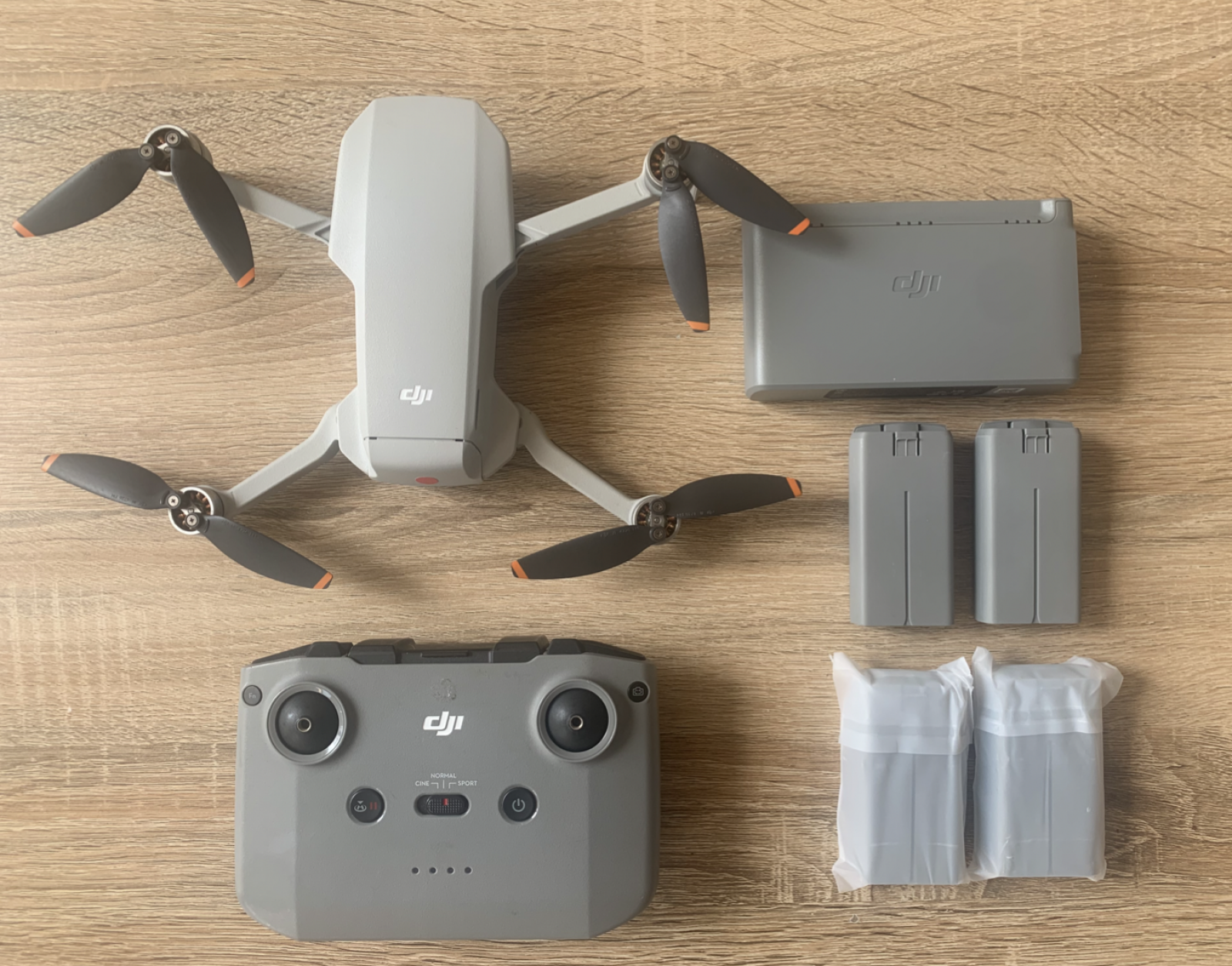 DJI Mavic Mini - Photo 1 sur 1