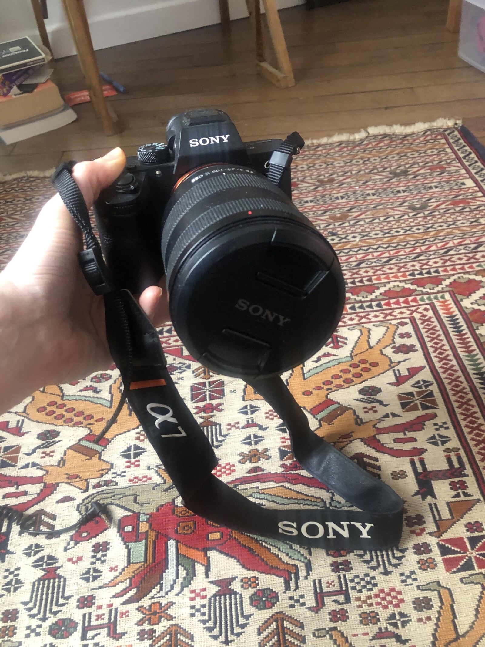 Sony Alpha 7 III (A73) - Photo 1 sur 9