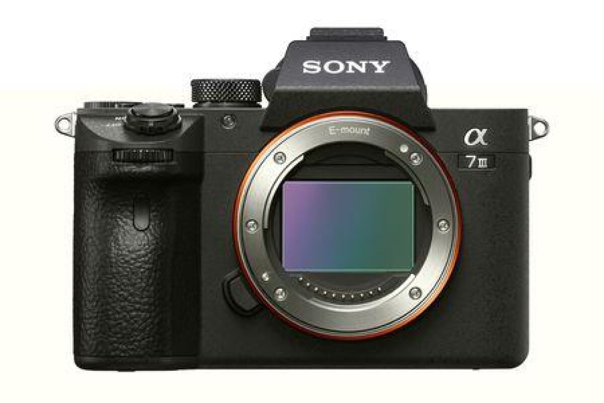 Location Sony Alpha 7 III (A73) - Lightyshare
