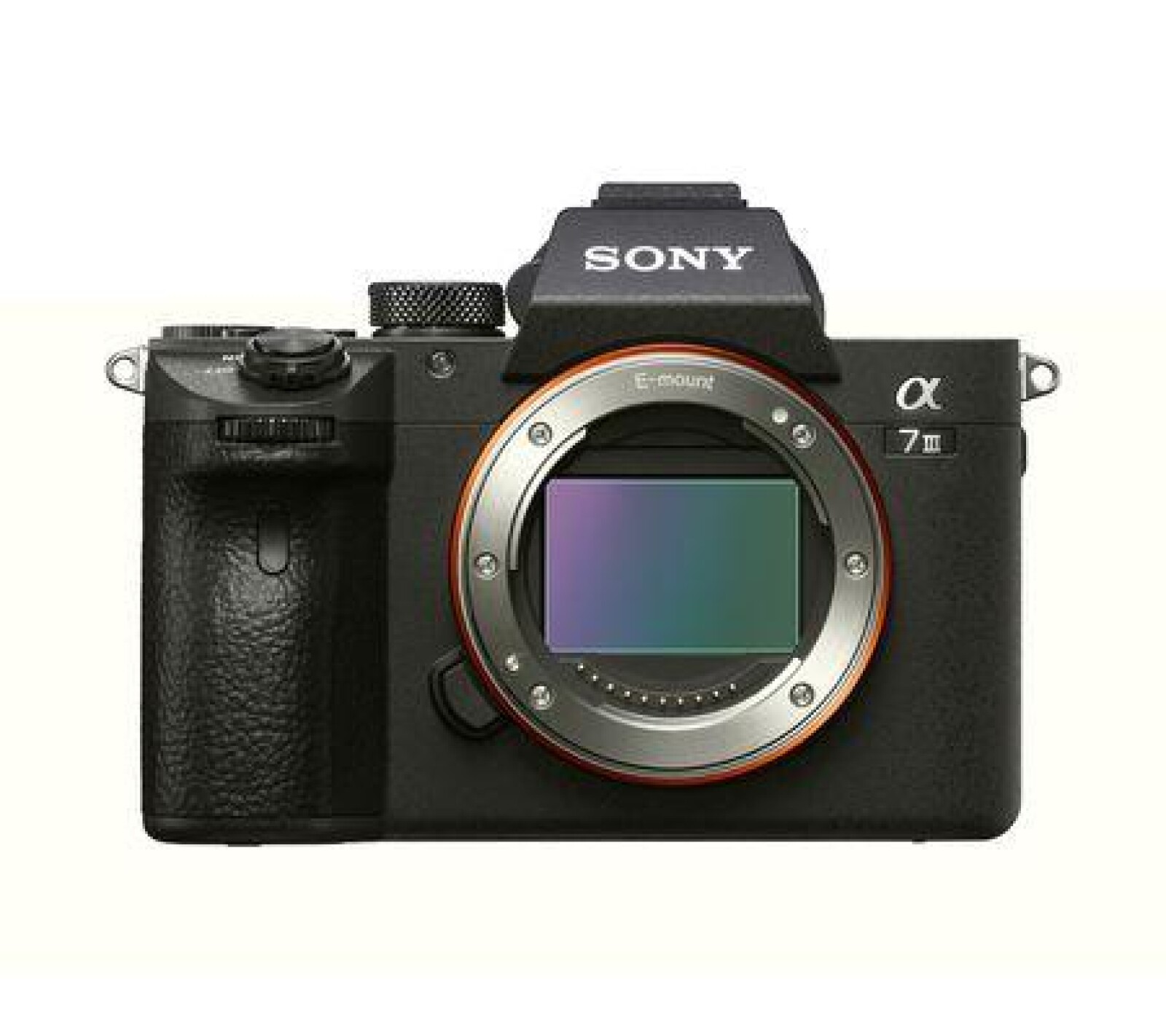 Sony Alpha 7 III (A73) - Photo 1 sur 2