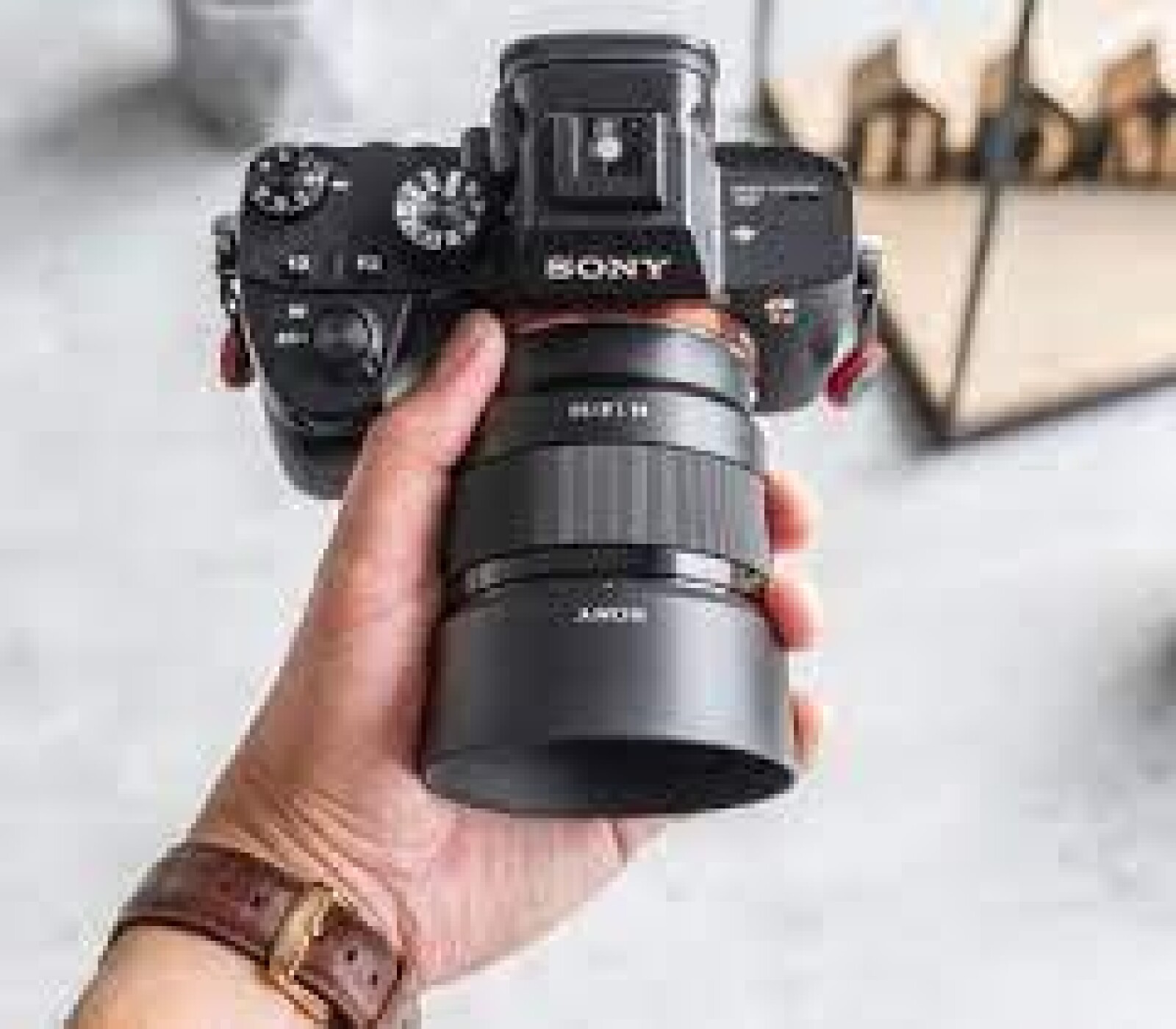 Sony Alpha 7 III  - Photo 3 sur 5