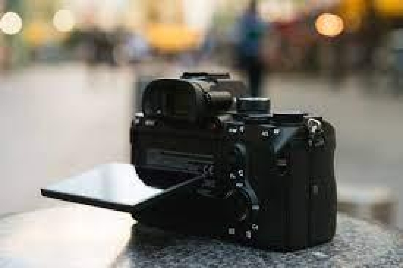 Sony Alpha 7 III  - Photo 4 sur 5