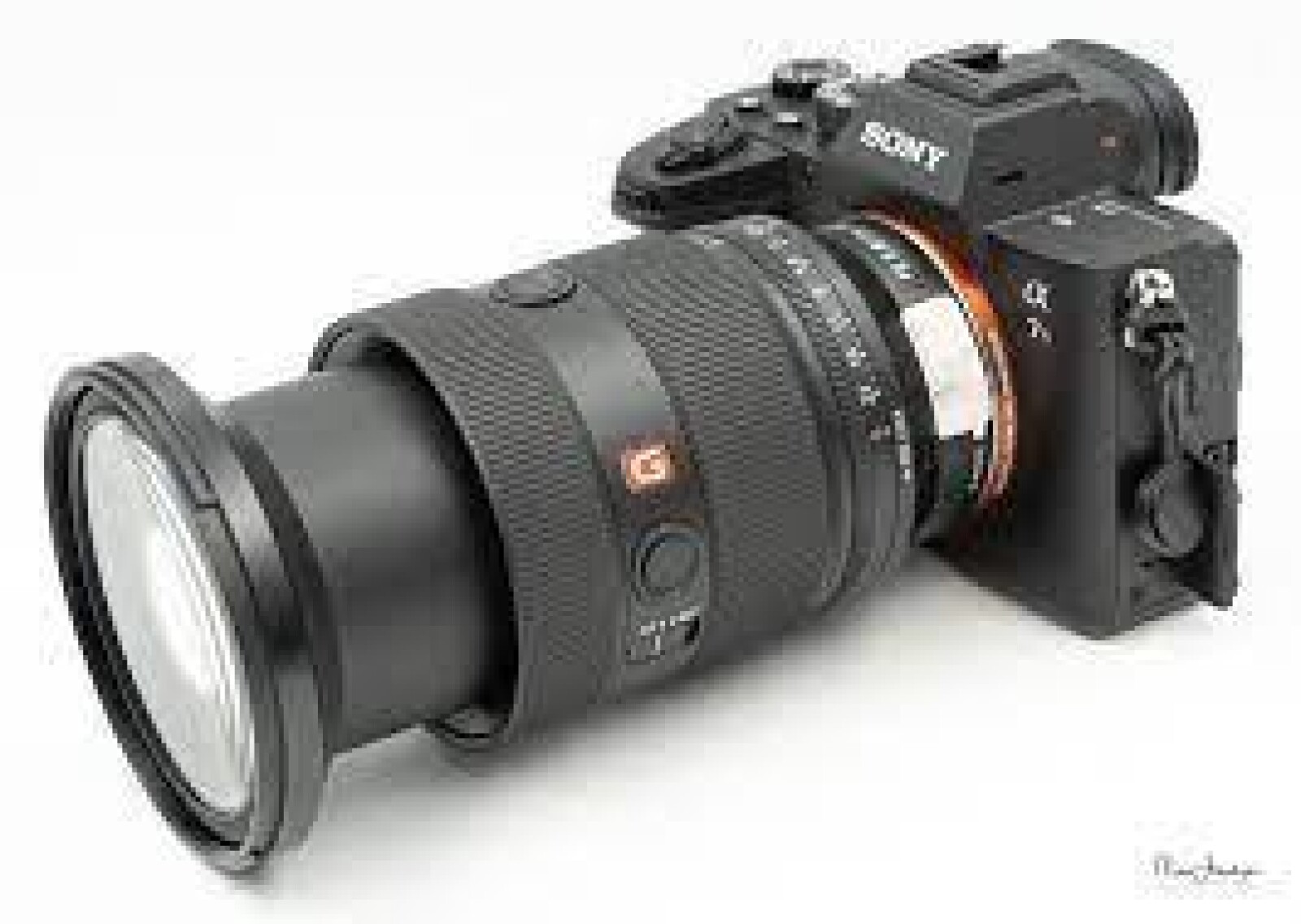 Sony 24-70 mm f/2.8 GM - Photo 3 sur 4