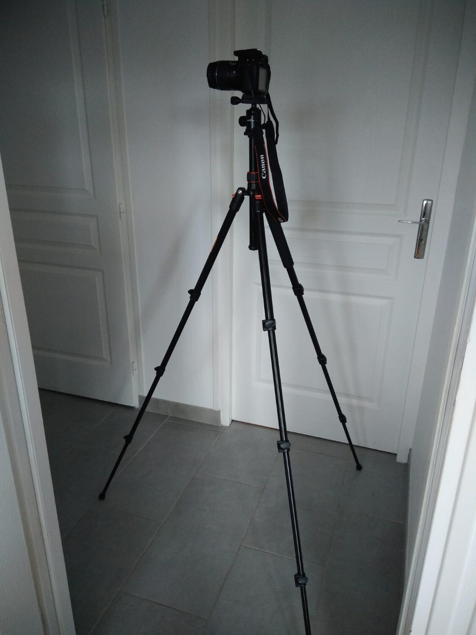Sony ZV-1 + K&F Concept TM2324 Trepied + Rode vidéo micro - Photo 3 sur 3