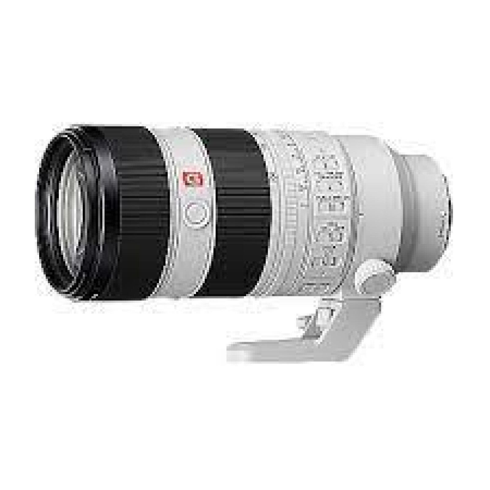 Sony FE 70-200 F 2.8 GM - Photo 1 sur 1