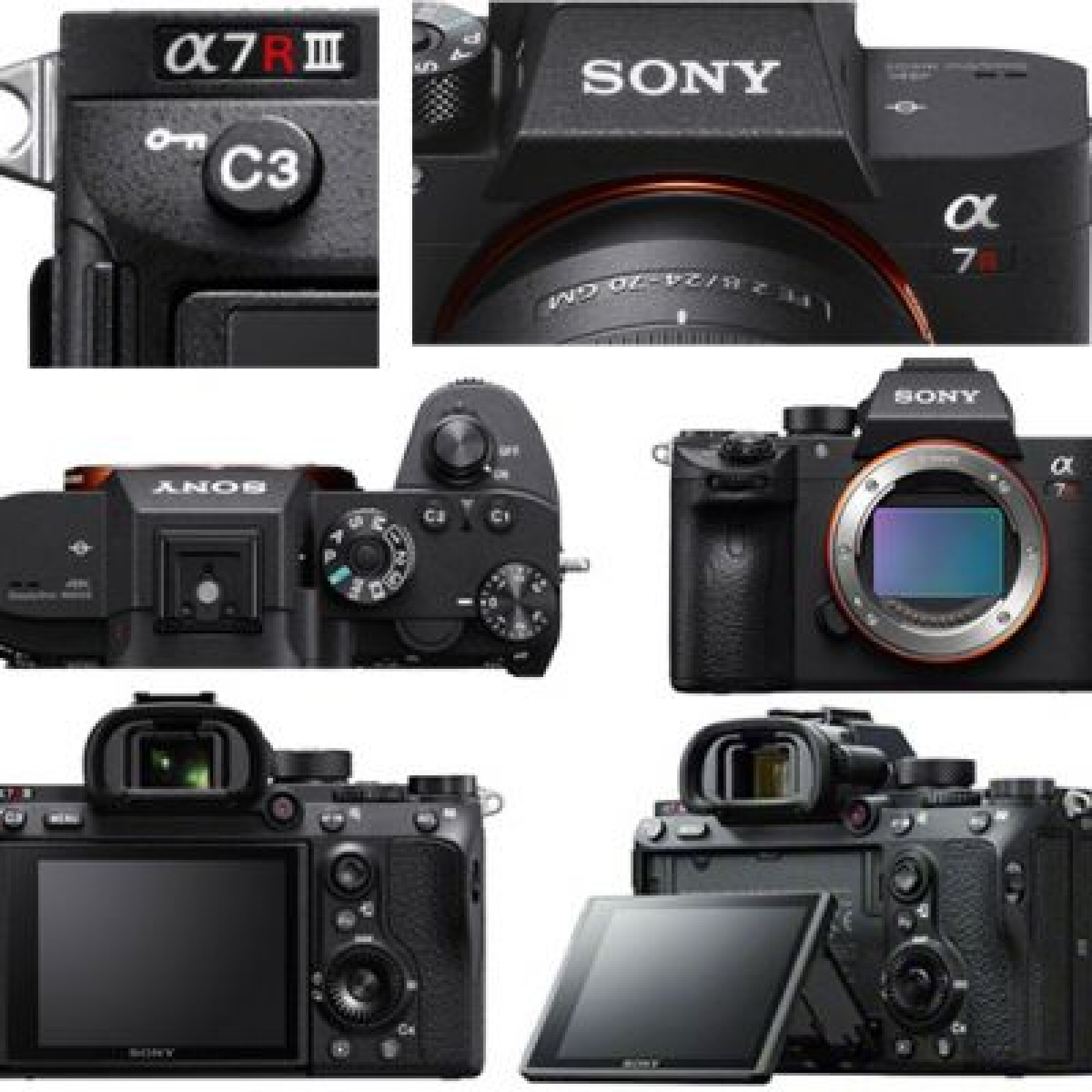 Sony Alpha 7R III (A7R 3) 42MP ; 4K/UHD 30p, slow motion Full HD 1080p 120i/s p sans recadrage - Photo 2 sur 3