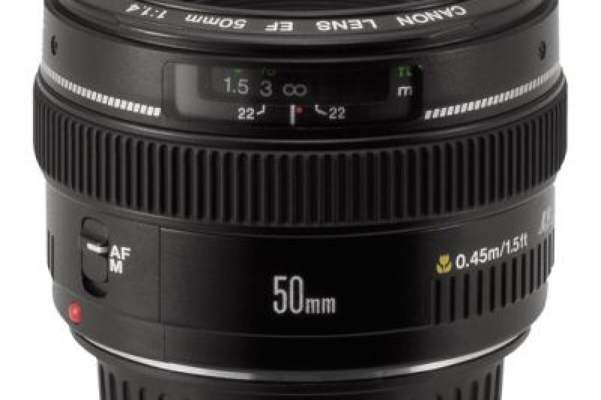 Location Canon EF 50mm f/1.4 USM : standard lumineux - Lightyshare