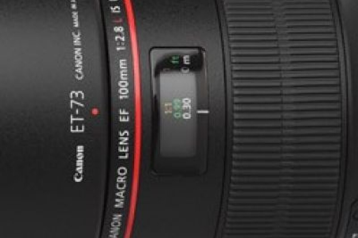 Location Canon EF 100mm f/2,8 L Macro IS USM : longue focale - Lightyshare