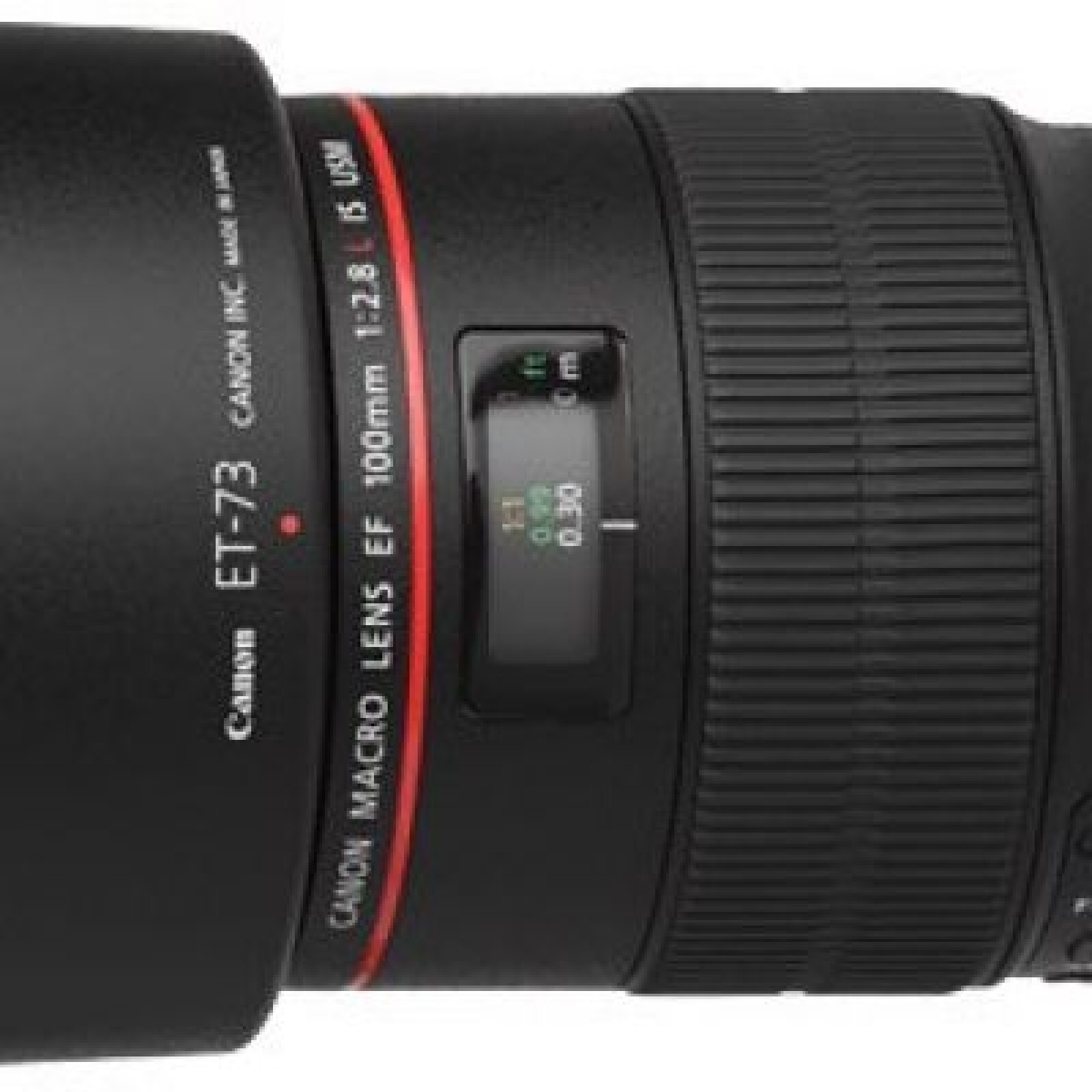 Canon EF 100mm f/2,8 L Macro IS USM : longue focale - Photo 1 sur 1