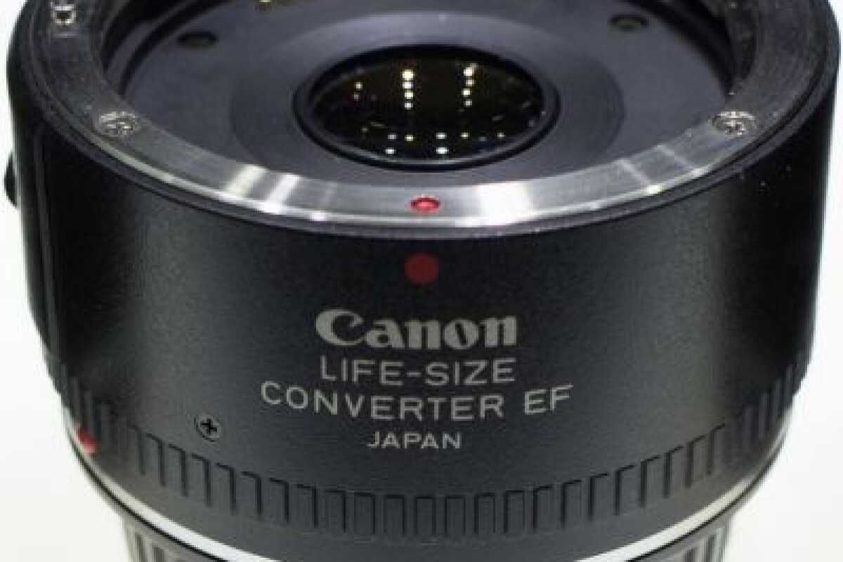 Location Canon EF Life Size Converter Macro : bague allonge - Lightyshare