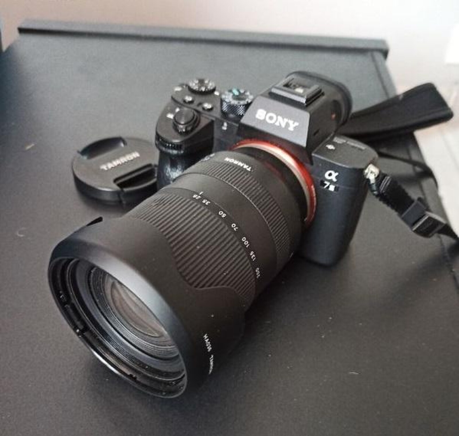 Sony Alpha 7 III (A73) - Photo 2 sur 3