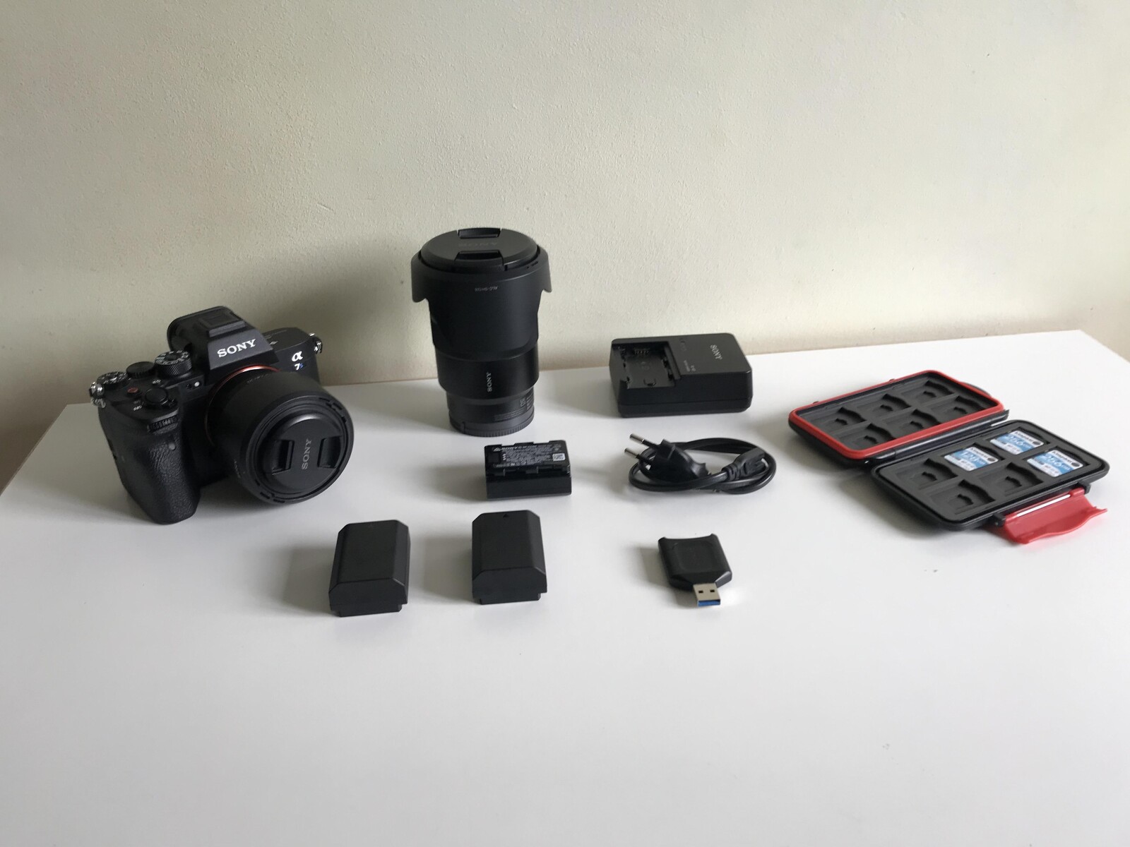Sony Alpha 7S III (A7S3) - Photo 1 sur 9