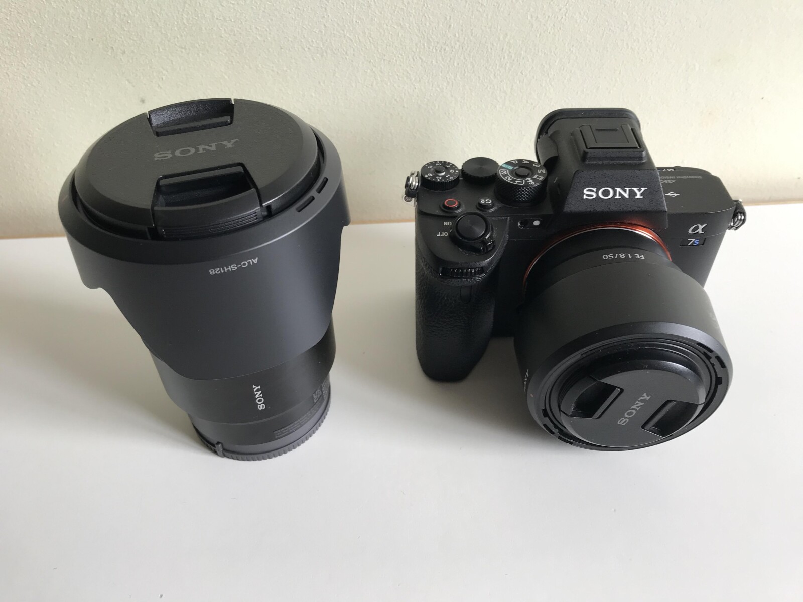 Sony Alpha 7S III (A7S3) - Photo 5 sur 9
