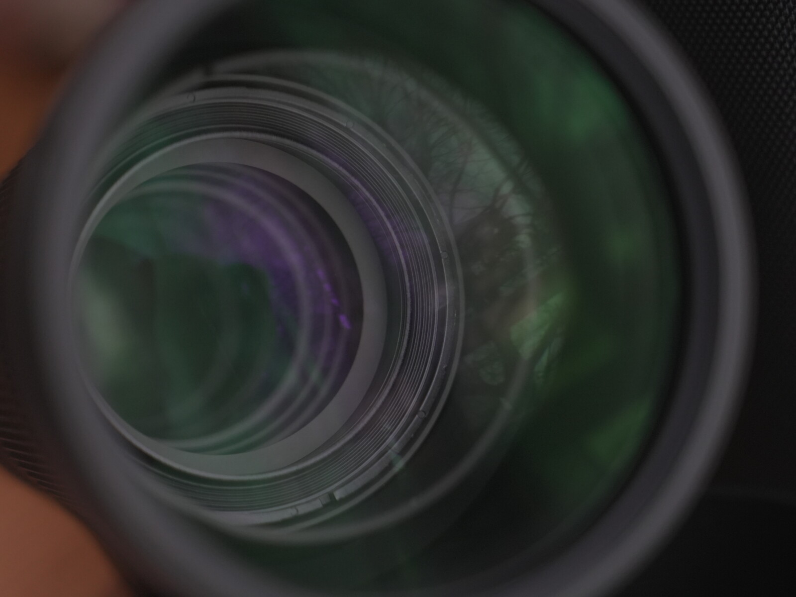 Sigma 150-600mm f/5-6.3 DG OS HSM - Photo 4 sur 5
