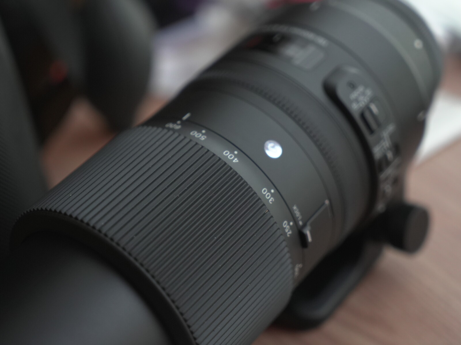 Sigma 150-600mm f/5-6.3 DG OS HSM - Photo 5 sur 5