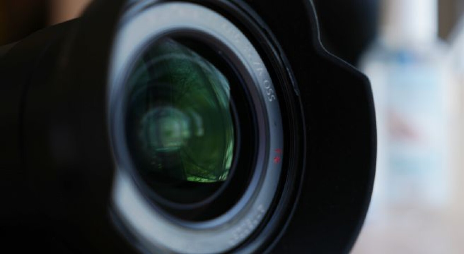 Sony 16-35mm f/4 OSS - Photo 1 sur 3